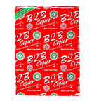 A4 Copier Paper | 500 Sheets | 70 GSM | B2B Bundle | Pack of 1