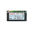 Camel Student Poster Colours | 6 Shades × 10 ml Tubes for Students