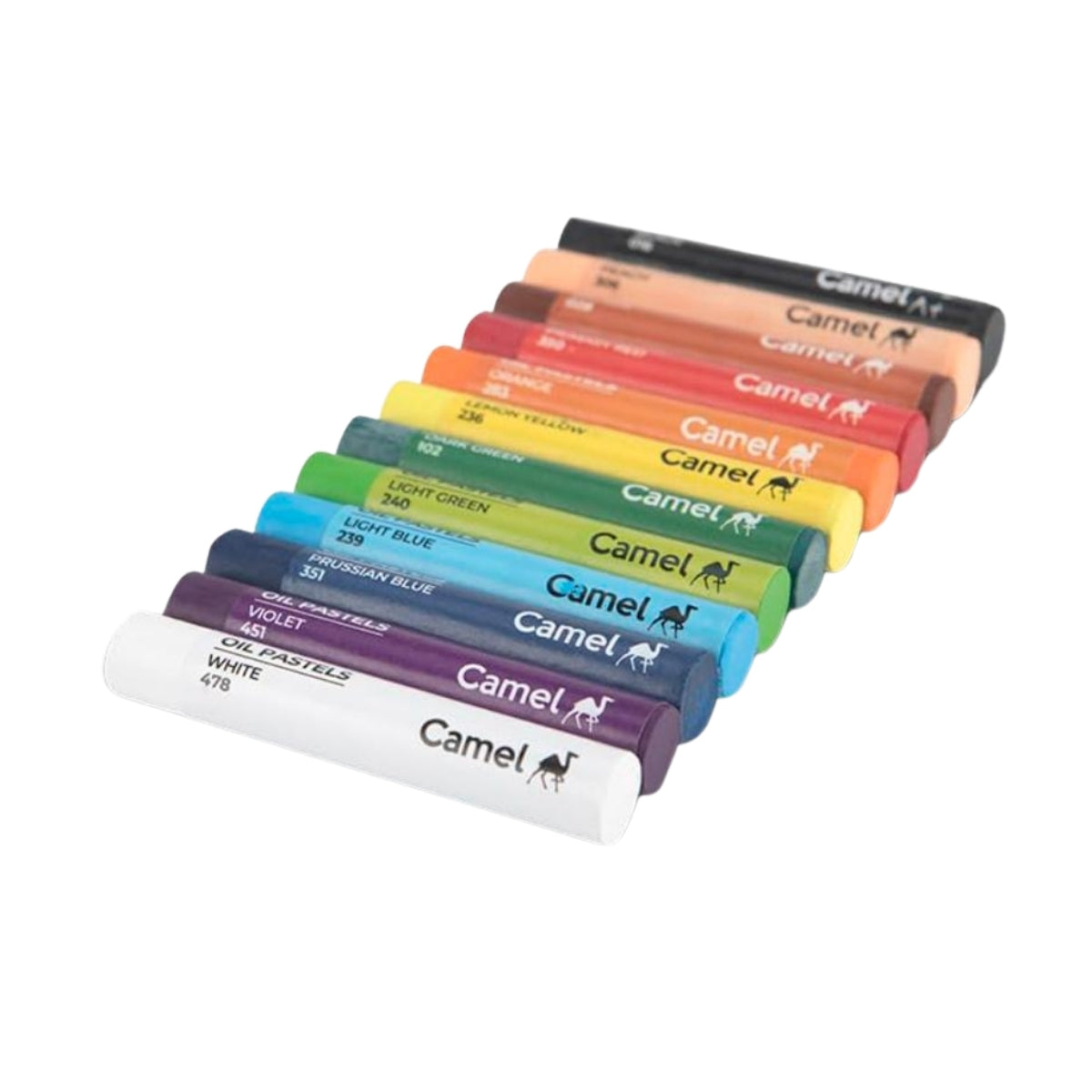 Camel Oil Pastels | 12 Shades with Scraping Tool & Art Contest Coupon