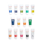 Camlin Kokuyo Artist Acrylic Colours | 40 ml × 12 Shades with Mediums