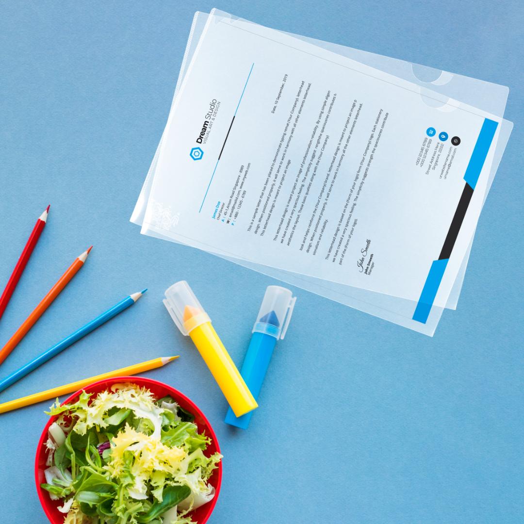 Transparent L-Folder Files Pack of 20 | A4 Document Organizer