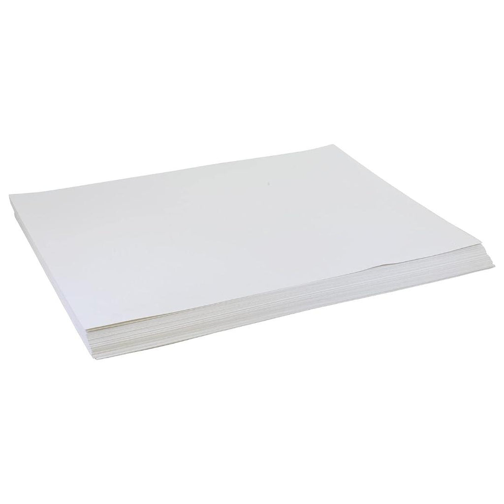 Cubic Chart Paper | 22 x 28 Inches | White & Coloured Sheets | Pack of 10