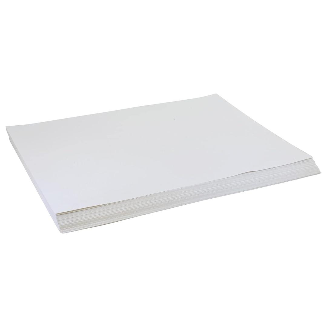 Cubic Chart Paper | 22 x 28 Inches | White & Coloured Sheets | Pack of 10