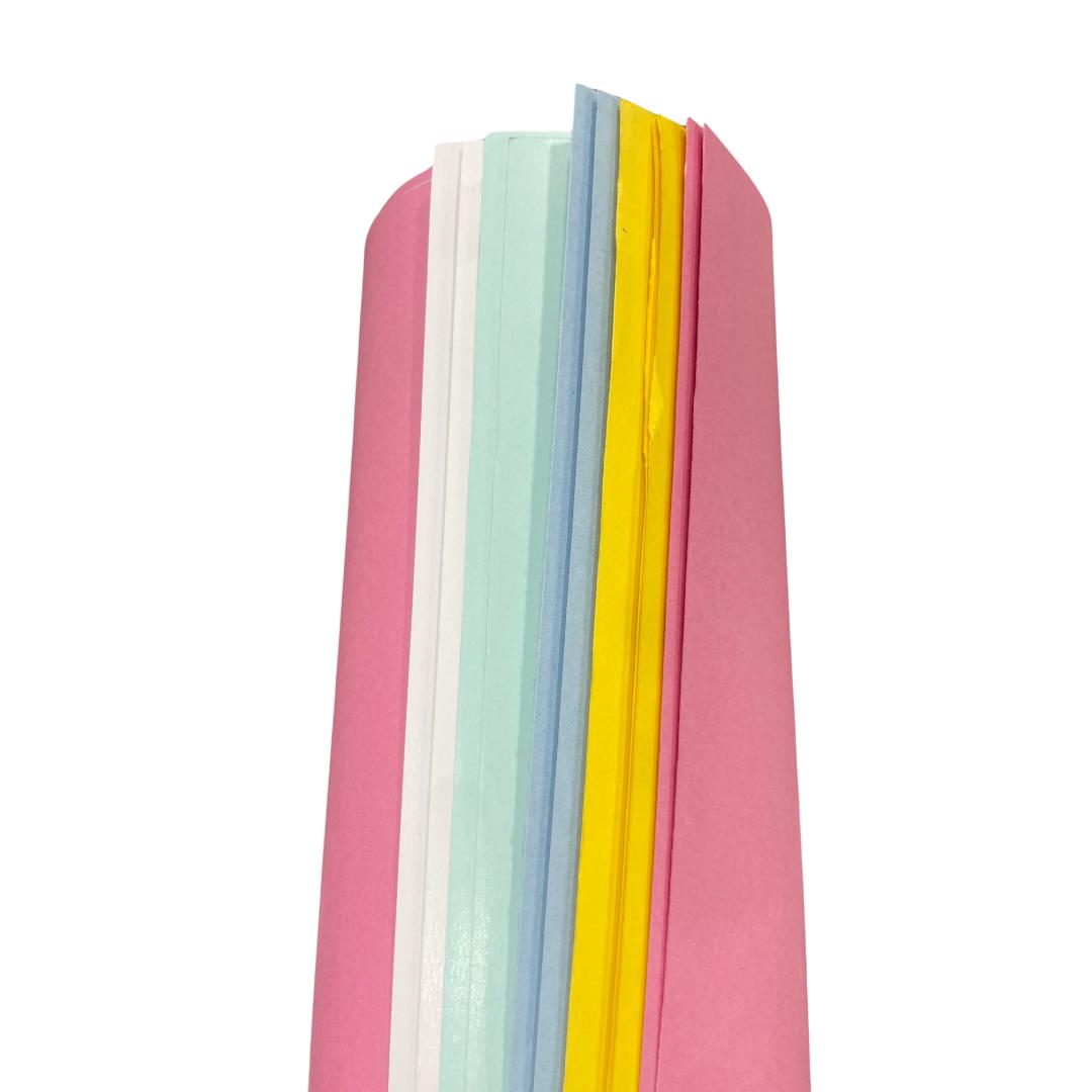 Cubic Chart Paper | 22 x 28 Inches | White & Coloured Sheets | Pack of 10