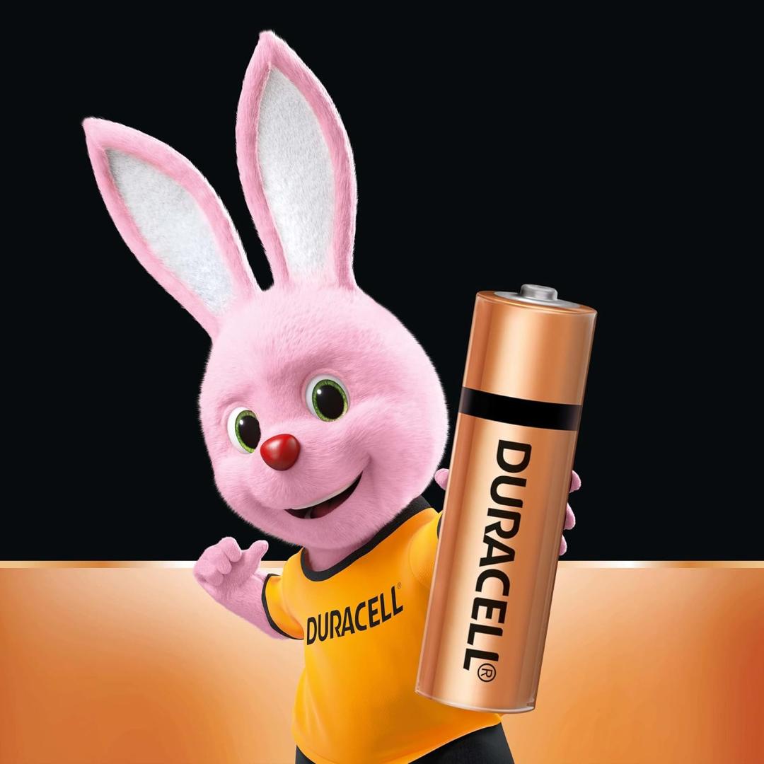 Duracell Chhota Power AA (LR6) Alkaline Batteries | Pack of 12