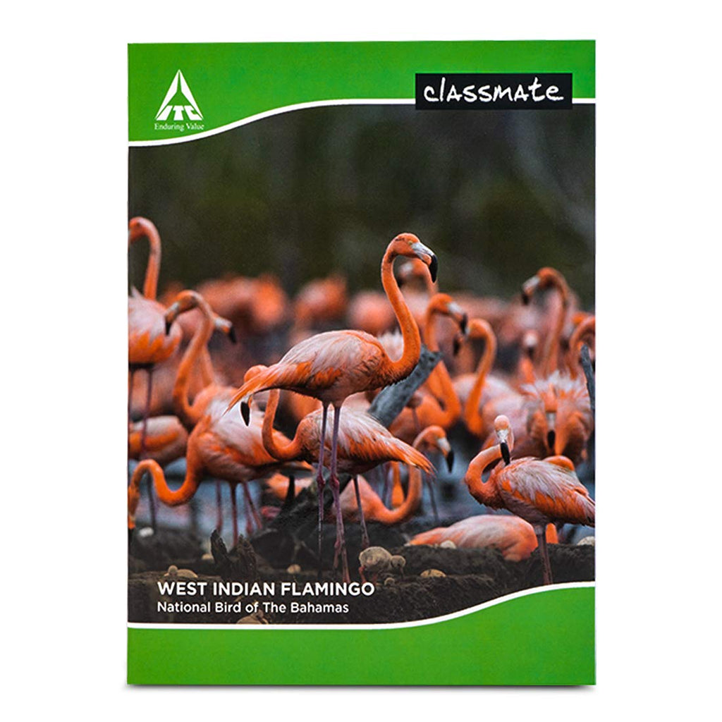 Classmate Single Line Soft Bound Notebook | 240 x 180 mm