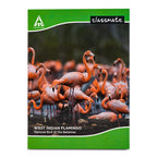 Classmate Single Line Soft Bound Notebook | 240 x 180 mm