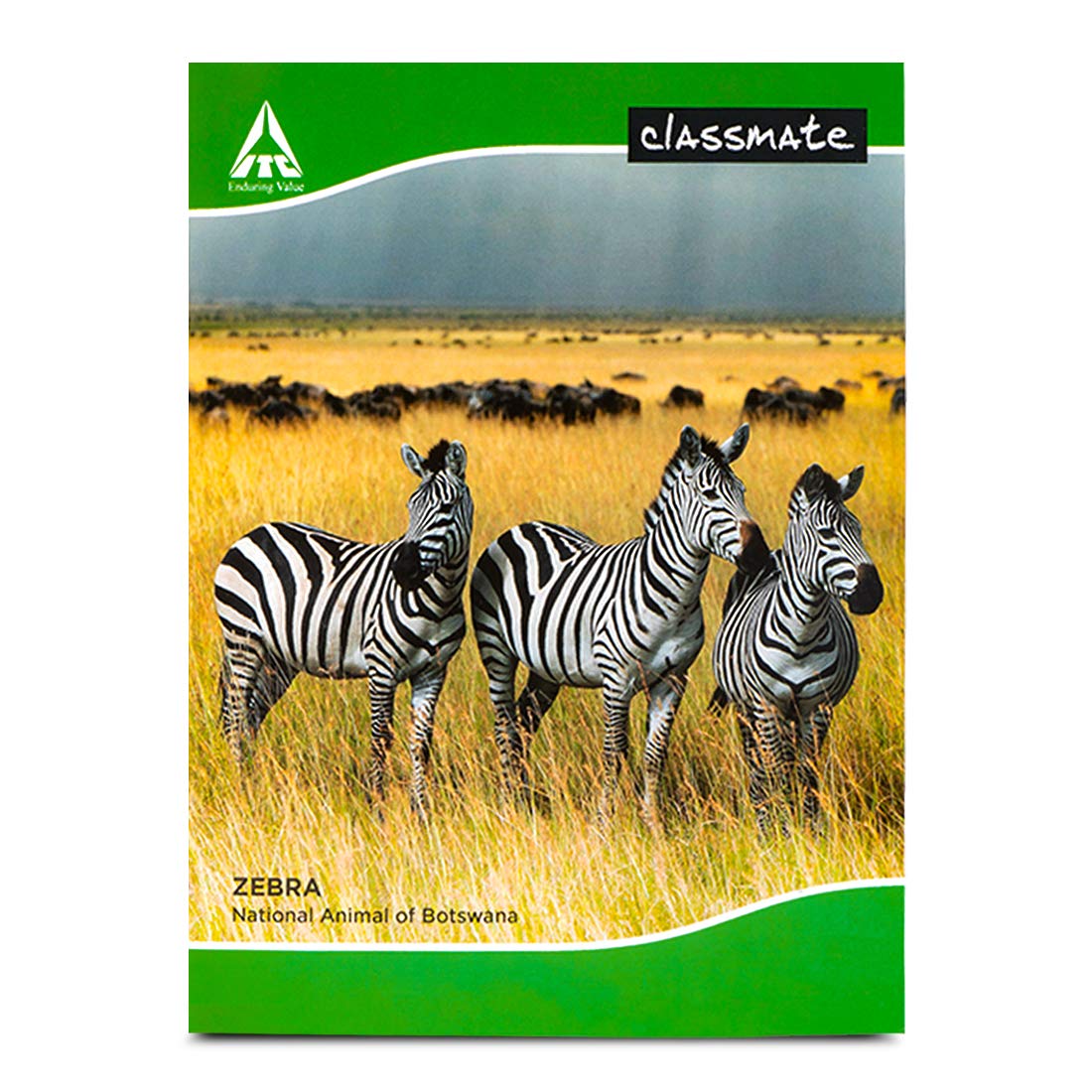 Classmate Single Line Soft Bound Notebook | 240 x 180 mm